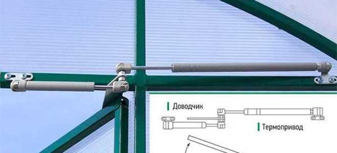 Как обустроить систему проветривания теплицы своими руками