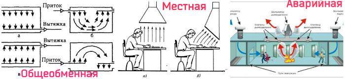 Какие бывают разновидности